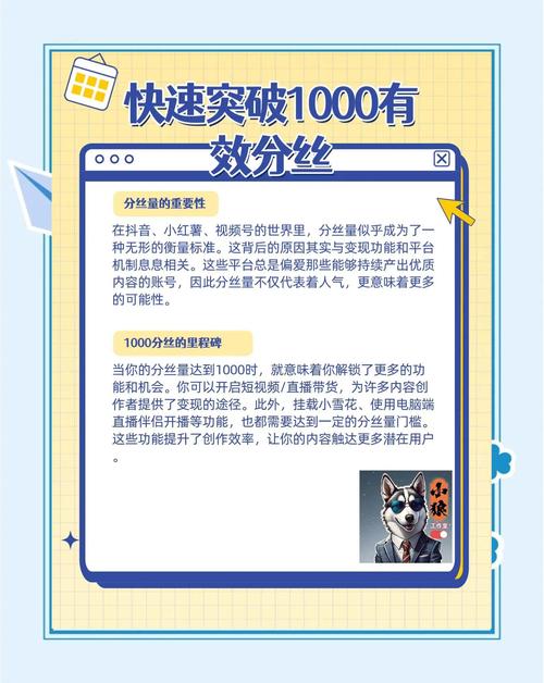 **视频号涨粉秘籍：揭秘快速吸引1000有效粉丝的绝招！**